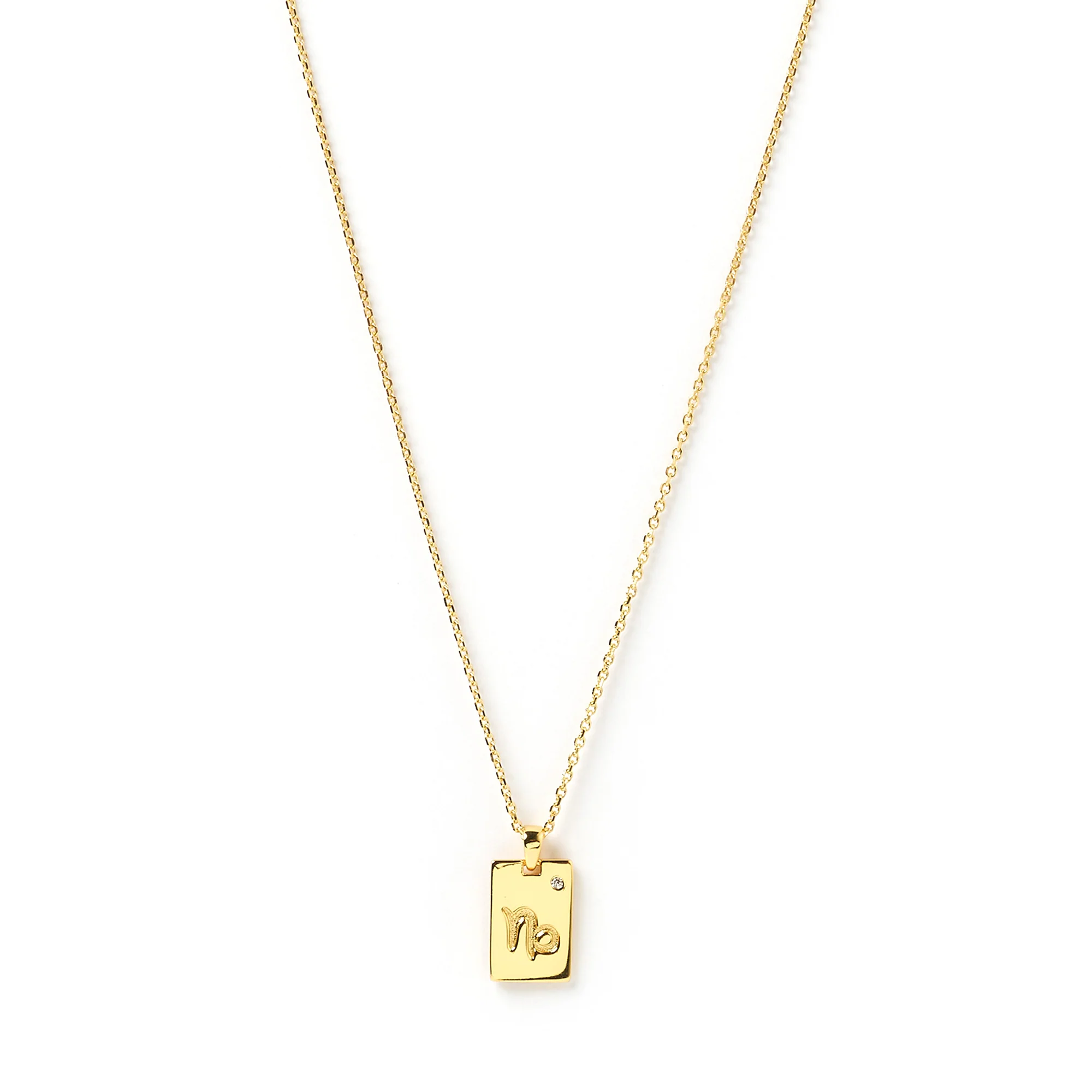 Zodiac Gold Tag Necklace