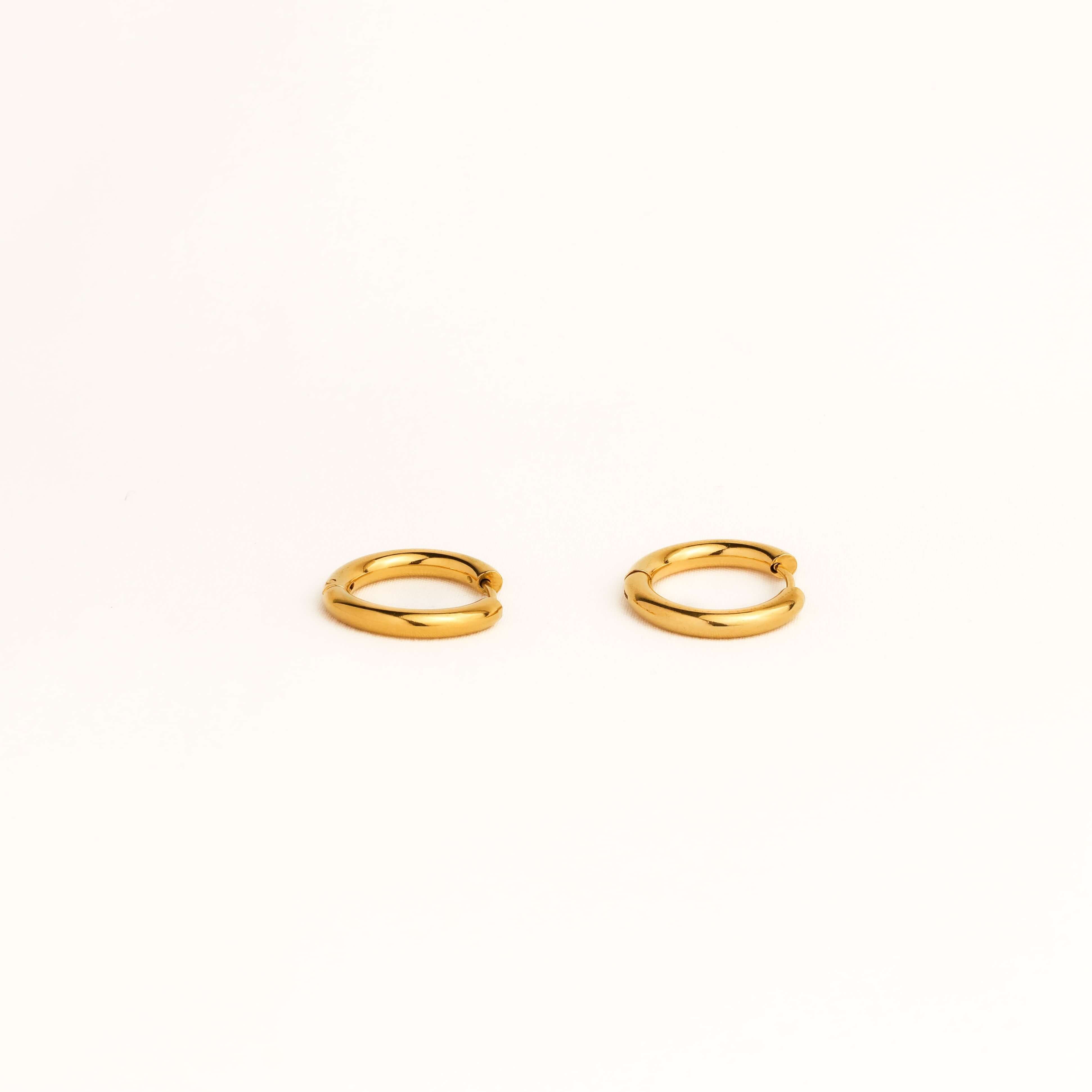 Gold Hoop Earrings